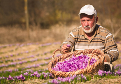 3. TARIM VE İNSAN FOTOĞRAF YARIŞMASI - N.Gamze DEMİR