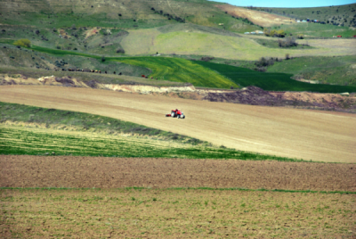 3. TARIM VE İNSAN FOTOĞRAF YARIŞMASI - Sacit ŞAHİN