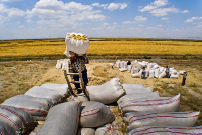 3. TARIM VE İNSAN FOTOĞRAF YARIŞMASI - Yavuz GÖRÜR