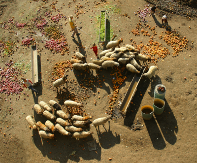 4. TARIM VE İNSAN FOTOĞRAF YARIŞMASI - Eyüp KARAKUŞ