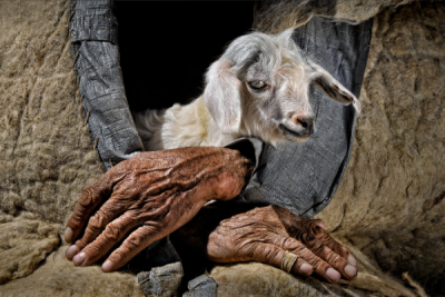 4. TARIM VE İNSAN FOTOĞRAF YARIŞMASI - Ahmet Fatih SÖNMEZ