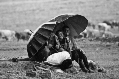 4. TARIM VE İNSAN FOTOĞRAF YARIŞMASI - Murat KAYA