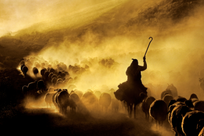 4. TARIM VE İNSAN FOTOĞRAF YARIŞMASI - Ahmet Fatih SÖNMEZ