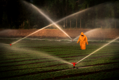4. TARIM VE İNSAN FOTOĞRAF YARIŞMASI - Ahmet KOCABIYIK