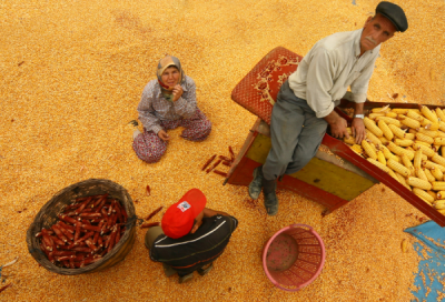 4. TARIM VE İNSAN FOTOĞRAF YARIŞMASI - Ali SAK