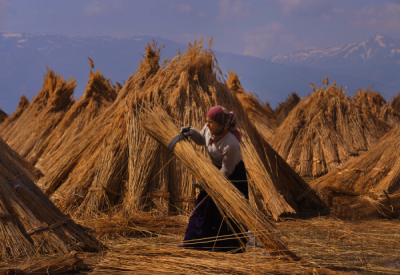 4. TARIM VE İNSAN FOTOĞRAF YARIŞMASI - Ali ÜNAL