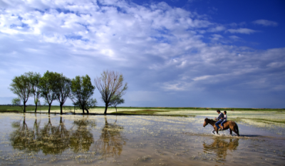 4. TARIM VE İNSAN FOTOĞRAF YARIŞMASI - Arda AKSOY