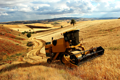 4. TARIM VE İNSAN FOTOĞRAF YARIŞMASI - Ayhan KÖSE