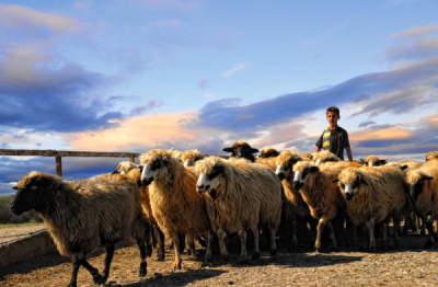 4. TARIM VE İNSAN FOTOĞRAF YARIŞMASI - Barış DEĞİRMENCİOĞLU