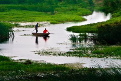 4. TARIM VE İNSAN FOTOĞRAF YARIŞMASI - Burak ŞENBAK