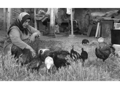 4. TARIM VE İNSAN FOTOĞRAF YARIŞMASI - Erdem KİRAZ