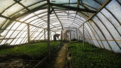 4. TARIM VE İNSAN FOTOĞRAF YARIŞMASI - Erdem ŞAHİN