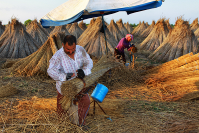 4. TARIM VE İNSAN FOTOĞRAF YARIŞMASI - Gazanfer DEMİRER