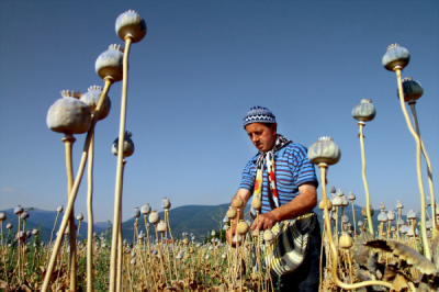 4. TARIM VE İNSAN FOTOĞRAF YARIŞMASI - Gökhan ÇALIŞKAN