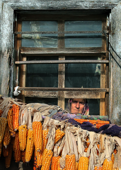 4. TARIM VE İNSAN FOTOĞRAF YARIŞMASI - Hasan AYDIN