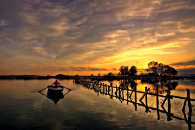 4. TARIM VE İNSAN FOTOĞRAF YARIŞMASI - Hüsnü DEMİREL