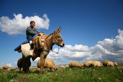 4. TARIM VE İNSAN FOTOĞRAF YARIŞMASI - İbrahim ŞİMŞEK