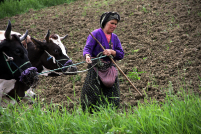 4. TARIM VE İNSAN FOTOĞRAF YARIŞMASI - Kenan YALDIZ