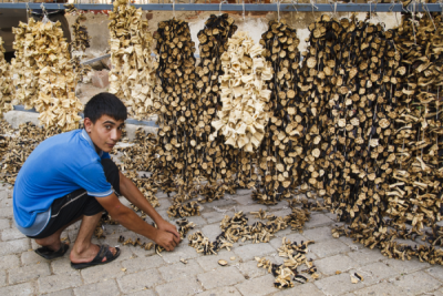 4. TARIM VE İNSAN FOTOĞRAF YARIŞMASI - M. Turhan KESKİN