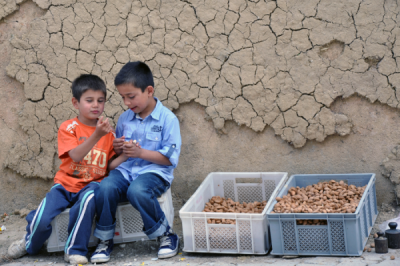 4. TARIM VE İNSAN FOTOĞRAF YARIŞMASI - Mehmet ÇELİK