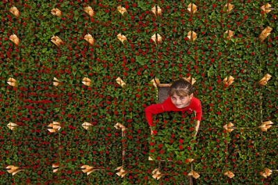 4. TARIM VE İNSAN FOTOĞRAF YARIŞMASI - Mehmet Fatih YALDIZ