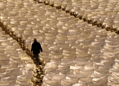 4. TARIM VE İNSAN FOTOĞRAF YARIŞMASI - Mehmet ÖZDEMİR