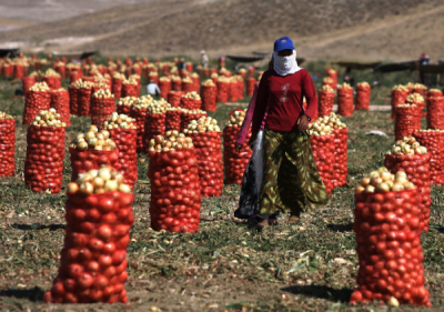 4. TARIM VE İNSAN FOTOĞRAF YARIŞMASI - Melike ÜNAL