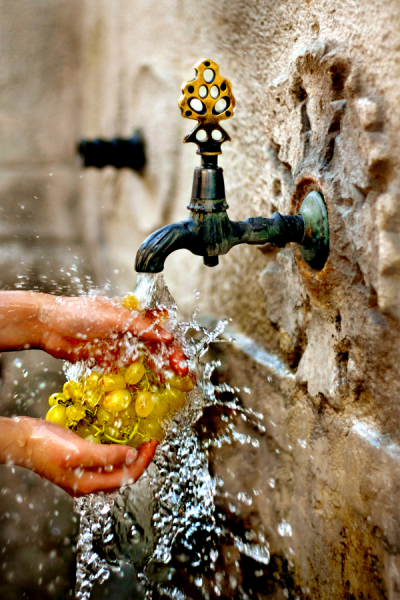 4. TARIM VE İNSAN FOTOĞRAF YARIŞMASI - N. Gamze DEMİR