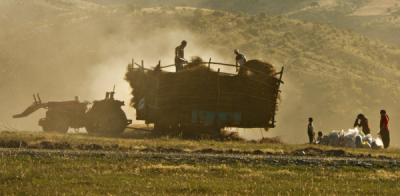 4. TARIM VE İNSAN FOTOĞRAF YARIŞMASI - Nazik Nazan KÖSE