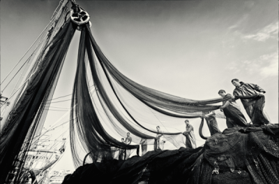 4. TARIM VE İNSAN FOTOĞRAF YARIŞMASI - Onur PELİT