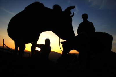 4. TARIM VE İNSAN FOTOĞRAF YARIŞMASI - Osman ARSAL