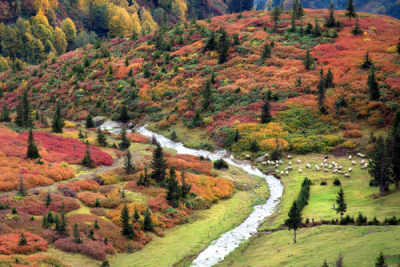 4. TARIM VE İNSAN FOTOĞRAF YARIŞMASI - Sabri ALTIN