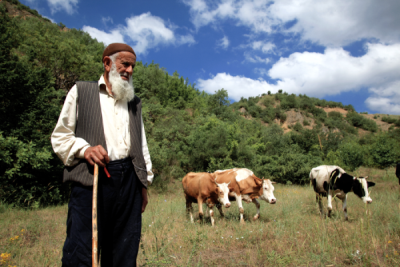 4. TARIM VE İNSAN FOTOĞRAF YARIŞMASI - Sacit ŞAHİN