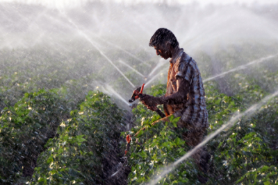 4. TARIM VE İNSAN FOTOĞRAF YARIŞMASI - Tahsin TOPÇU