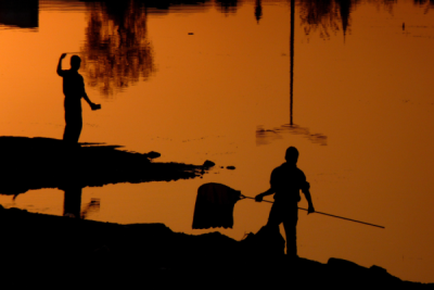 4. TARIM VE İNSAN FOTOĞRAF YARIŞMASI - Tahsin TOPÇU
