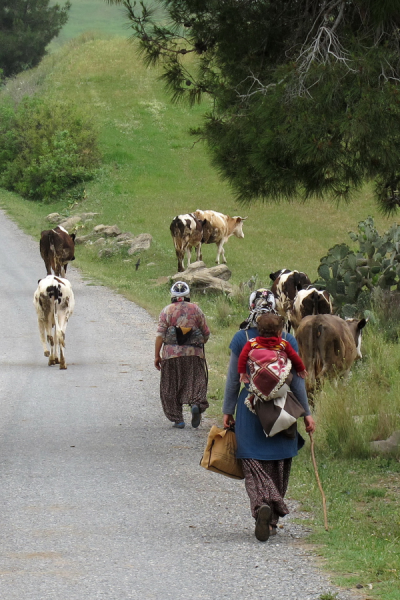 4. TARIM VE İNSAN FOTOĞRAF YARIŞMASI - Tahsin TOPÇU