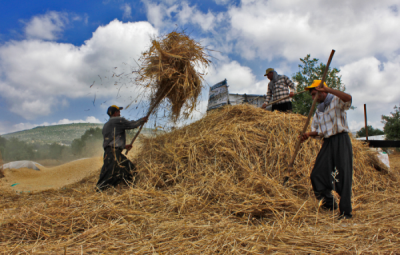 4. TARIM VE İNSAN FOTOĞRAF YARIŞMASI - Ünzüle KÜÇÜKÖNER