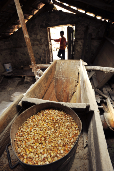 4. TARIM VE İNSAN FOTOĞRAF YARIŞMASI - Zeki AKAKÇA