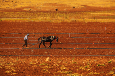 4. TARIM VE İNSAN FOTOĞRAF YARIŞMASI - Eyüp KARAKUŞ