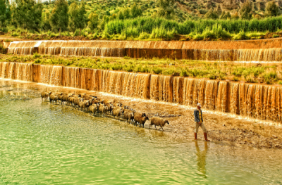 4. TARIM VE İNSAN FOTOĞRAF YARIŞMASI - Songül ACAR