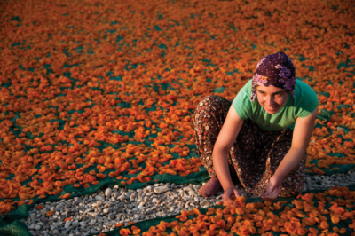 5. TARIM VE İNSAN FOTOĞRAF YARIŞMASI - Mahmut Orhan ALKAYA