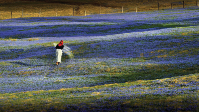 5. TARIM VE İNSAN FOTOĞRAF YARIŞMASI - Sabri ALTIN
