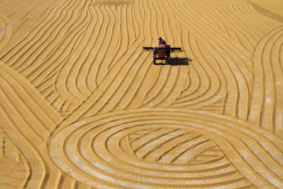 5. TARIM VE İNSAN FOTOĞRAF YARIŞMASI - Tufan BİLİR