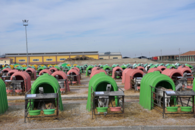 5. TARIM VE İNSAN FOTOĞRAF YARIŞMASI - Aleddin ÇETİN 