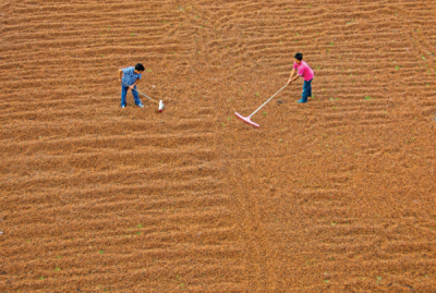 5. TARIM VE İNSAN FOTOĞRAF YARIŞMASI - Fatih KARAOĞLU