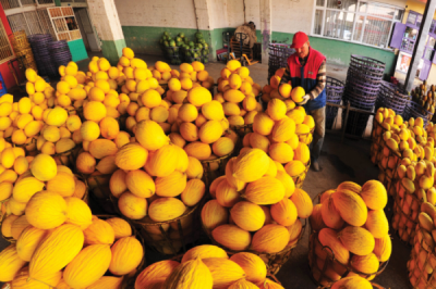 5. TARIM VE İNSAN FOTOĞRAF YARIŞMASI - Ali IŞIK 