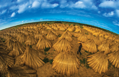 5. TARIM VE İNSAN FOTOĞRAF YARIŞMASI - Ali MERMERTAŞ