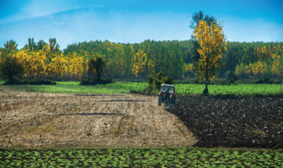 5. TARIM VE İNSAN FOTOĞRAF YARIŞMASI - Arda Adnan KALKAN 