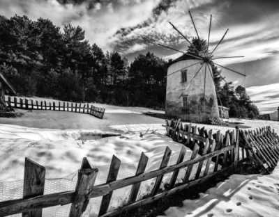 5. TARIM VE İNSAN FOTOĞRAF YARIŞMASI - Aylin CAKİNER