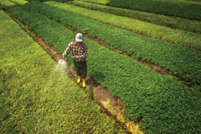 5. TARIM VE İNSAN FOTOĞRAF YARIŞMASI - Bahşende ÇOBAN